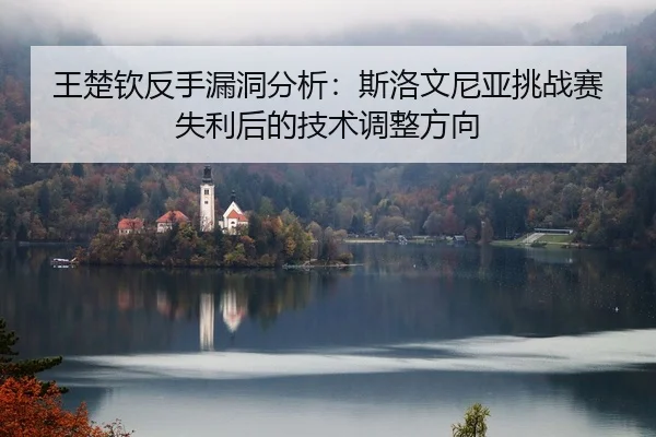 王楚钦反手漏洞分析：斯洛文尼亚挑战赛失利后的技术调整方向